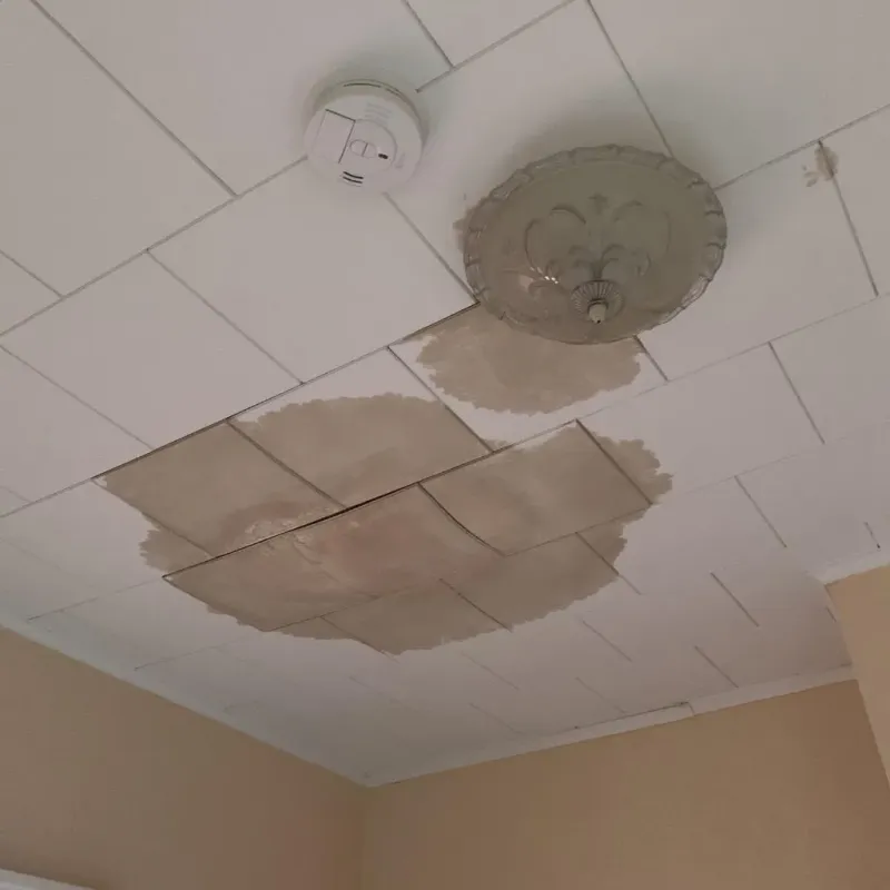Ceiling Water Damage Repair in East Earl, PA