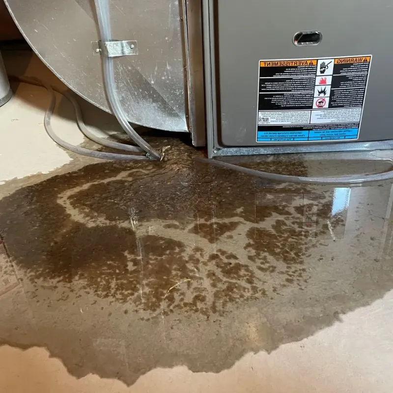 Pipe Burst and Leak Restoration in East Earl, PA
