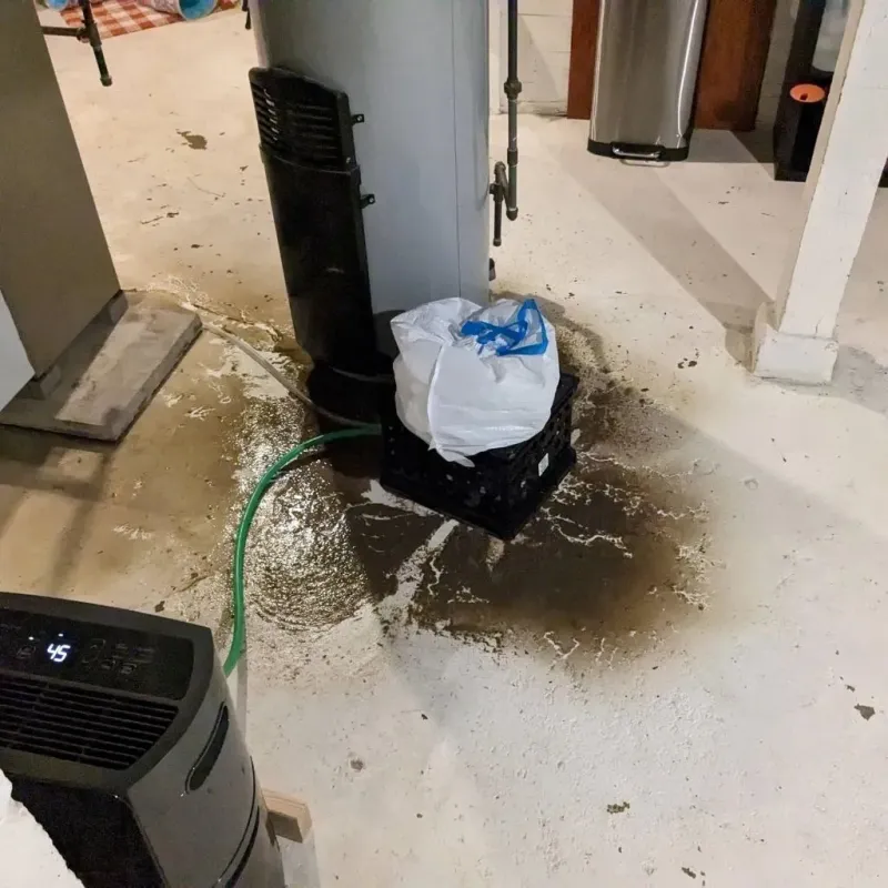 Sewage Backup Cleanup Service in East Earl, PA